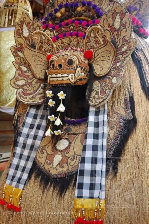 Mask 65 7 wm.jpg